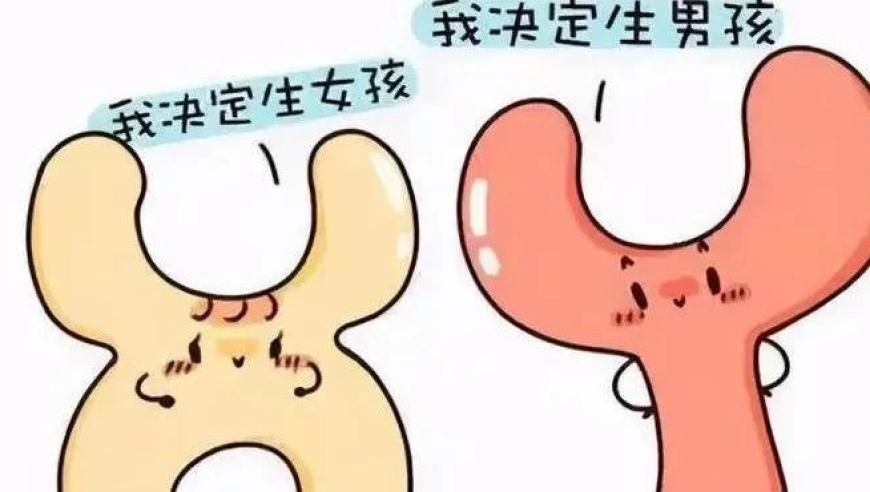 精準(zhǔn)三肖三碼三期內(nèi)必中特,竇萬貴受賄案一審開庭_手游版V2.68
