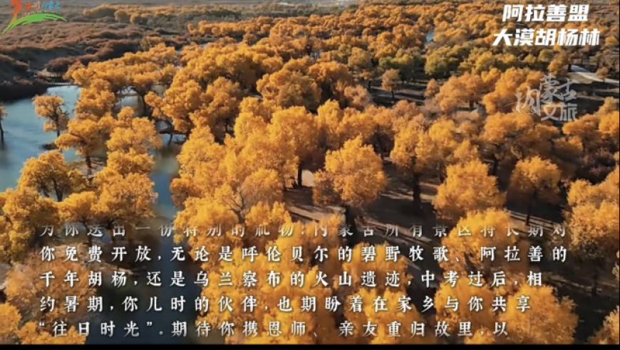 155755金牛網(wǎng)站高手,廣州市中院終審判決黑社會(huì)案_完整版V4.23