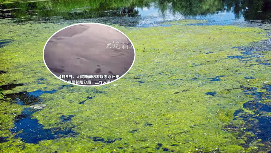 2025第二期管家婆圖片,世紀(jì)嬰兒千千去世,展開計(jì)劃實(shí)施_AndroidV11.20